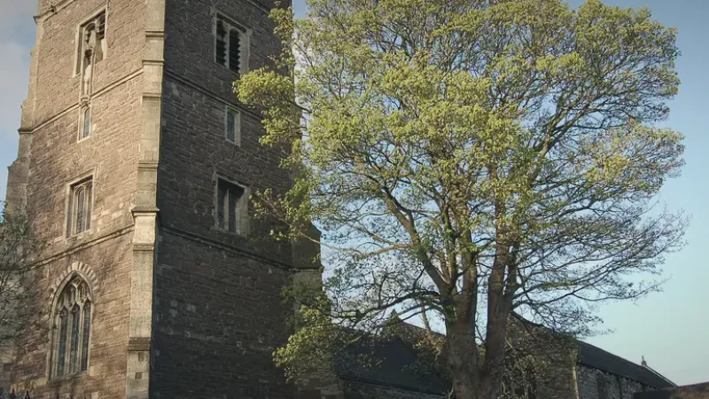 13) Newport Cathedral(2)