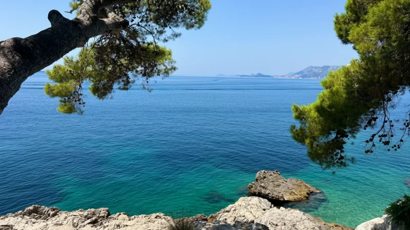 Peninsula Viewpoints