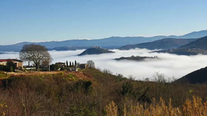 13) Photography Viewpoints(1)