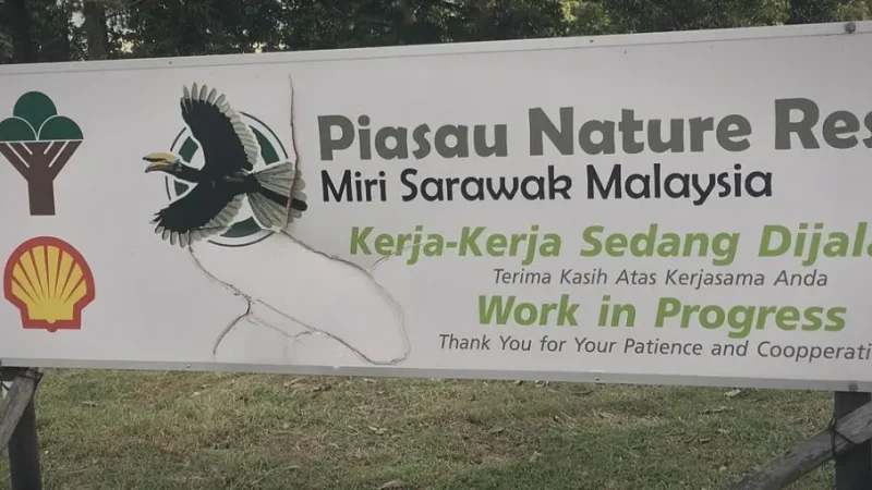 13) Piasau Nature Reserve(5)