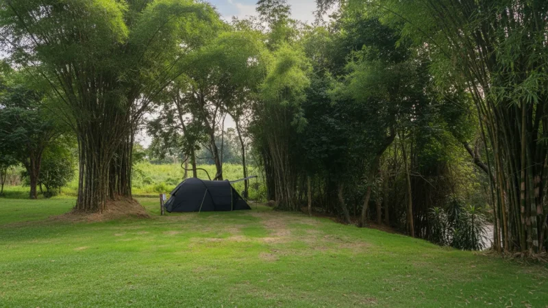 13 Quiet Camping Areas – Nature stays(4)