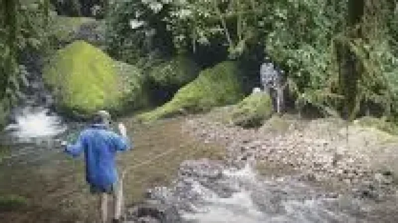 13 Riverside Walks – Calm nature paths(3)