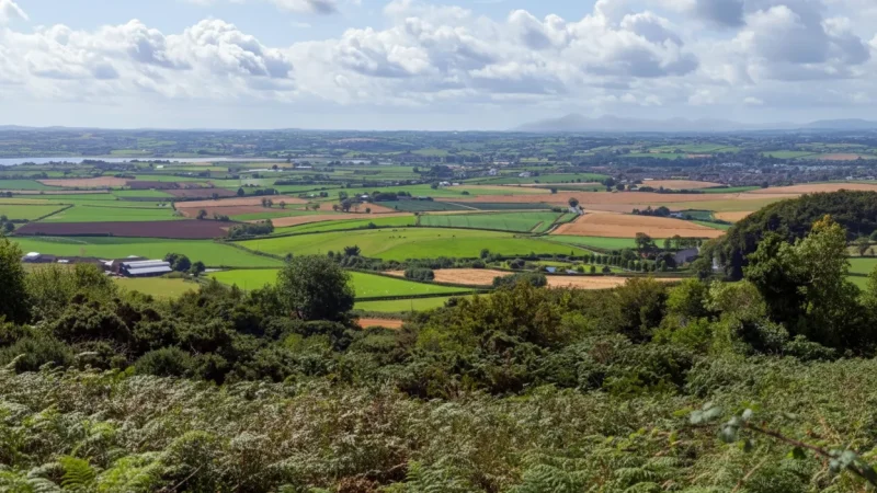 13) Rural Photography Spots(2)