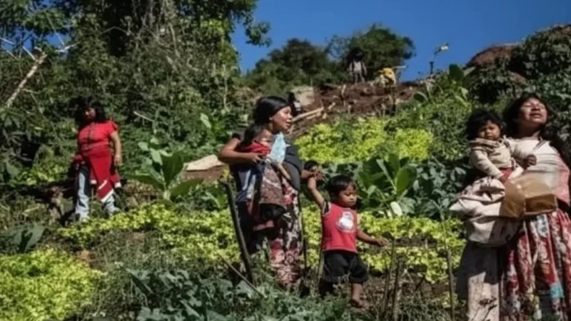 13 Rural Villages – Indigenous life(5)