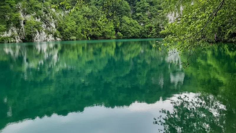 Seasonal Color Views