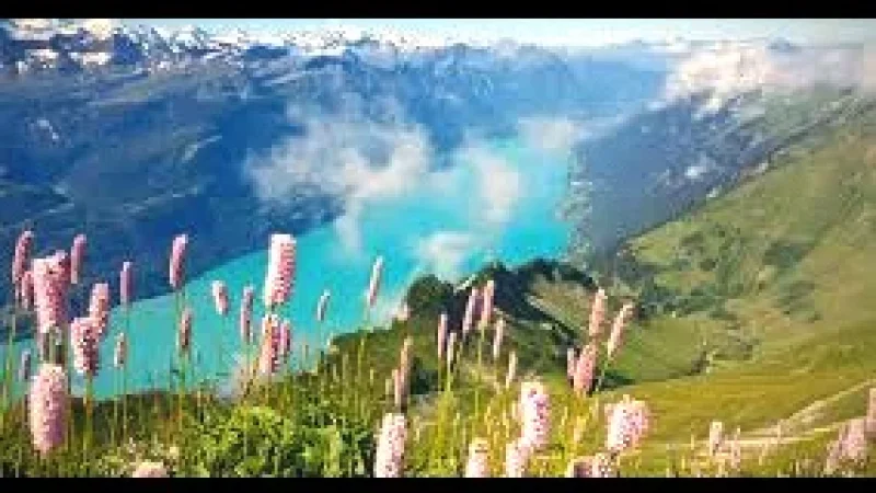 13 Seasonal Flower Fields(2)