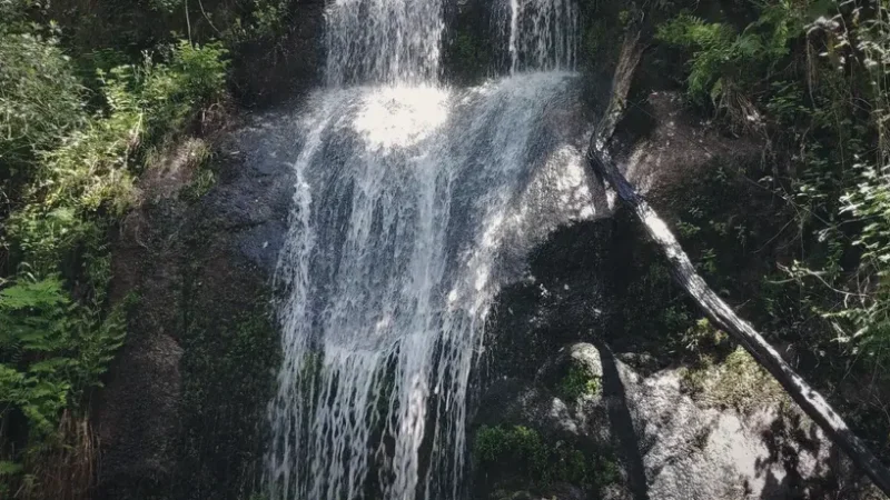13) Short Hiking Trails(1)