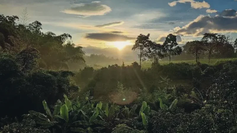 13 Sunrise Viewing Areas – Morning scenery_(4)
