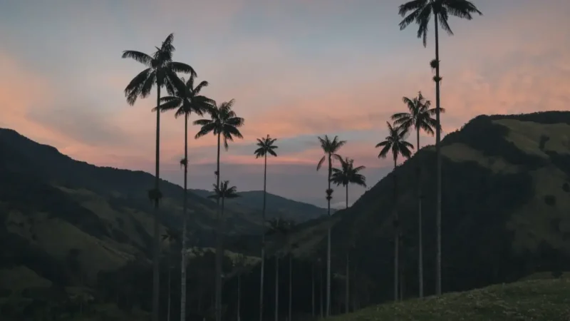 13 Sunrise Viewing Spots – Morning scenery_(4)