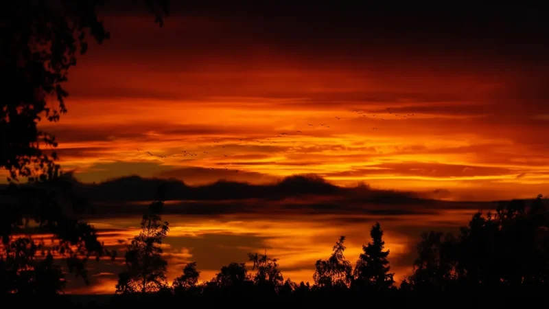 13 Sunset Viewpoints – Evening sea scenery(3)