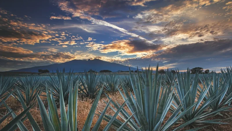 13) Sunset Viewpoints(1)