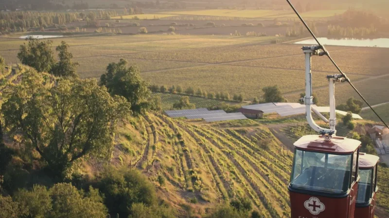 13) Sunset Vineyard Spots(3)