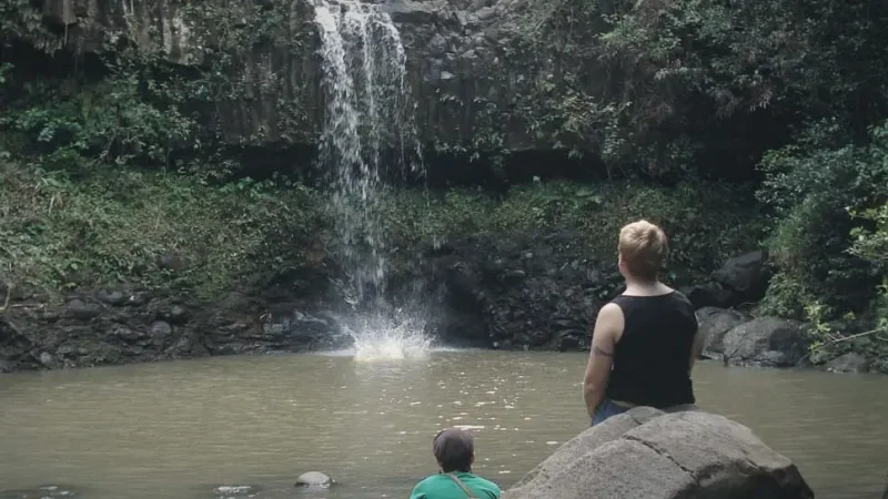 13) Twin Falls(2)