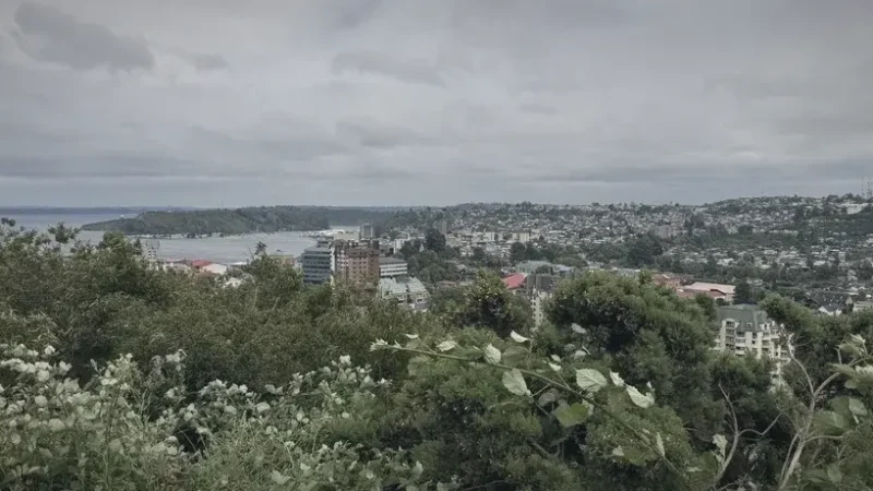 13) Urban Parks(3)
