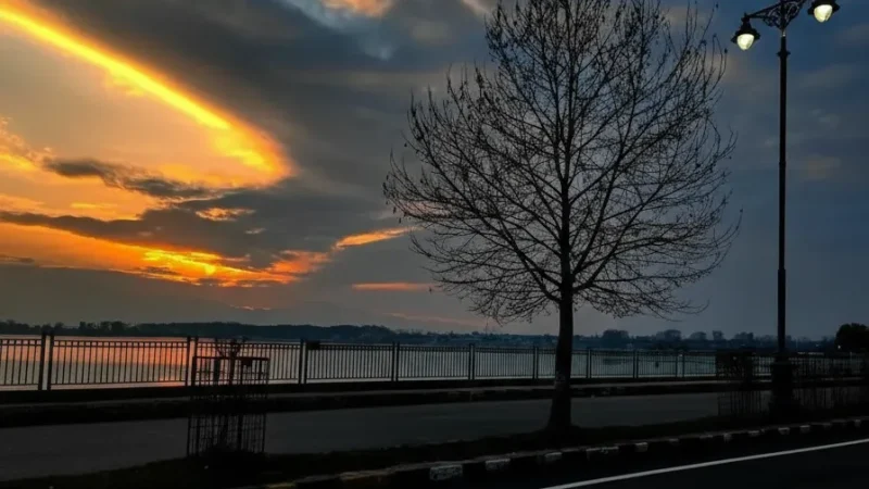 13. Boulevard Road – A scenic road along Dal Lake_(1)