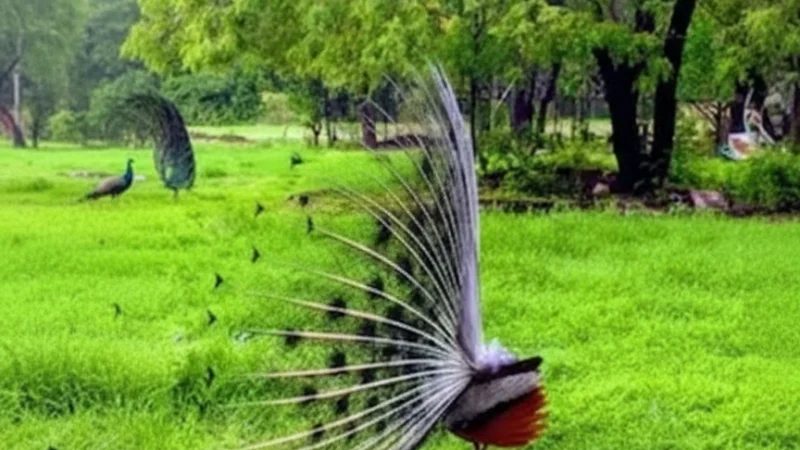 13. Meghdoot Garden(5)