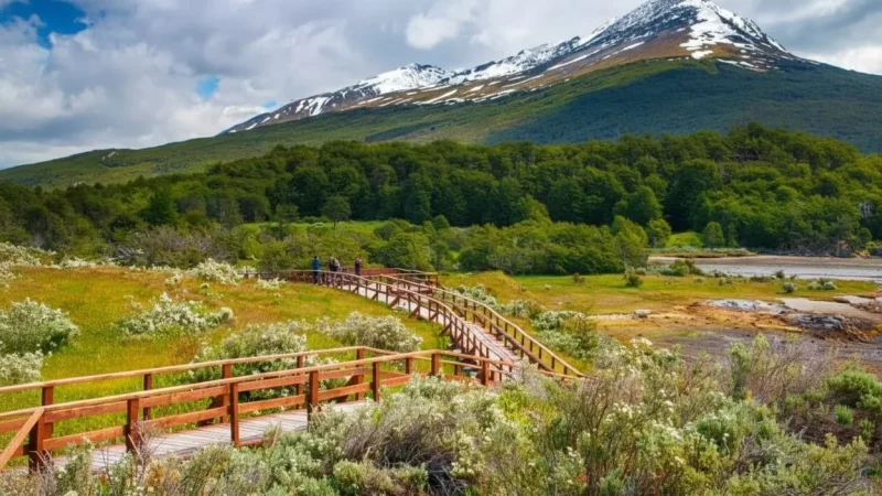 13. Nature Reserves – Protected areas(1)