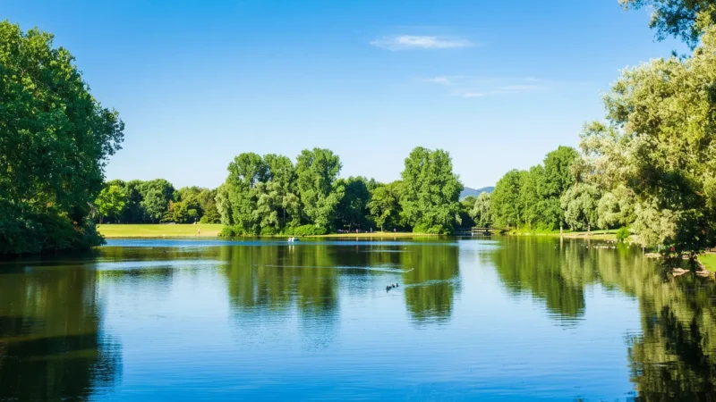 13. Rheinaue Park(4)