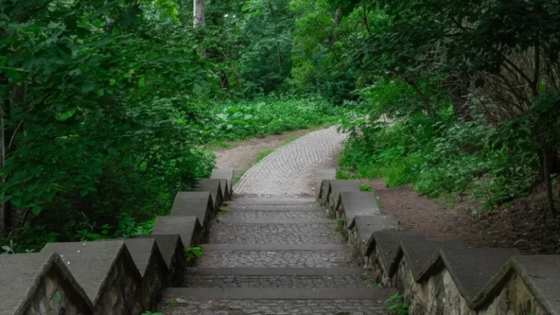 13. Volkspark Friedrichshain(1)