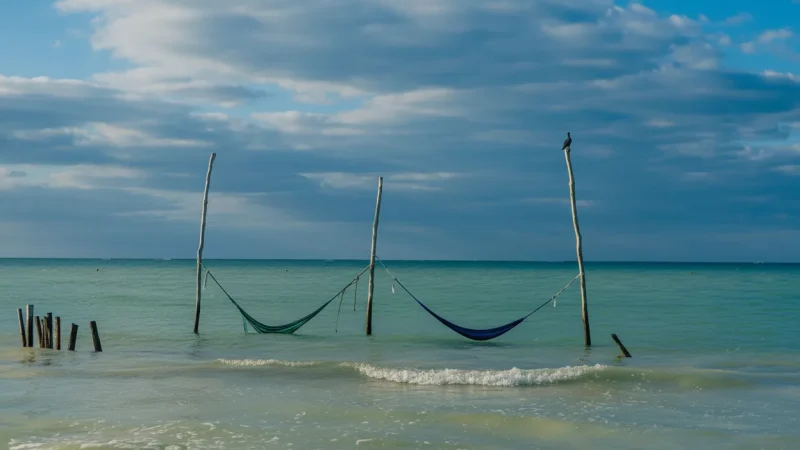 14) Beach Hammocks(2)