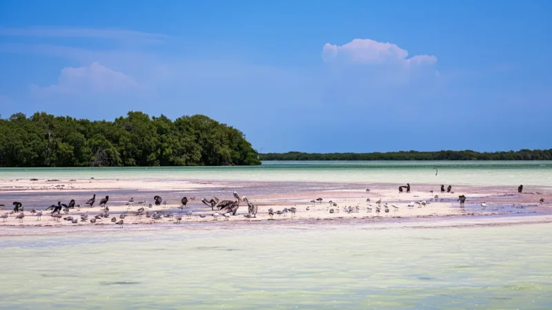 14) Birdwatching Areas(1)