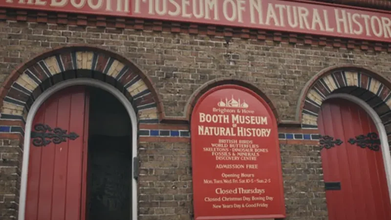 14) Booth Museum of Natural History(5)