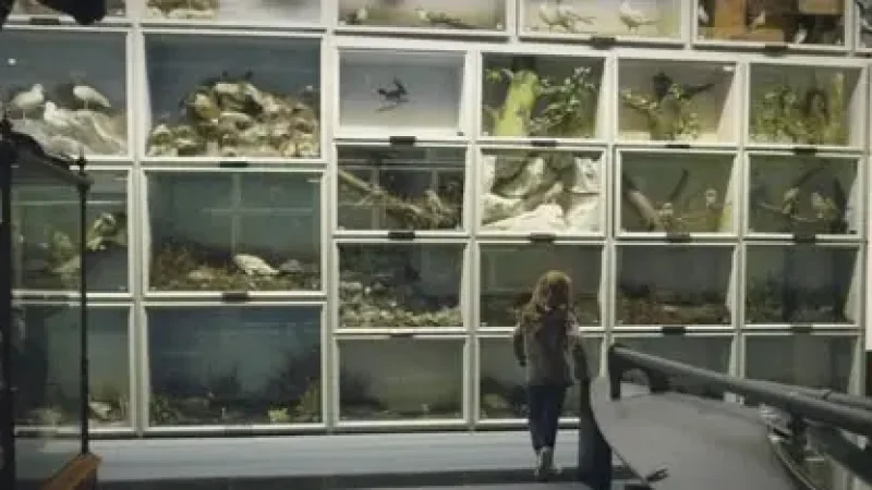 14) Booth Museum of Natural History(6)