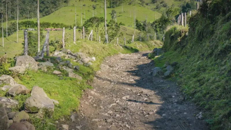 14 Countryside Paths – Open nature walks_(2)