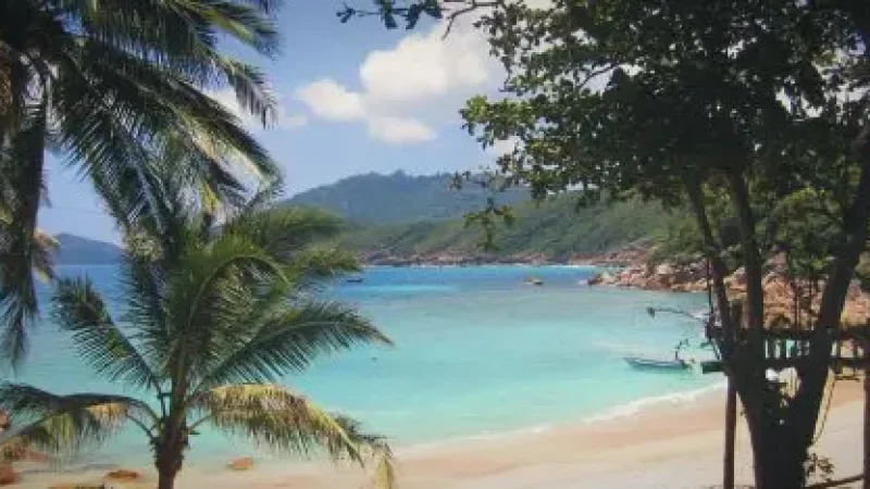 14) D’Lagoon(4)