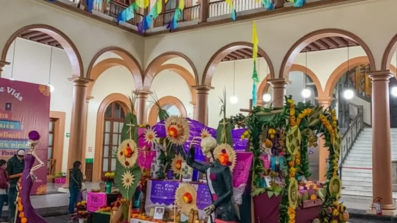 14) Evening Cultural Events(4)