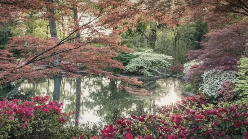 14) Exbury Gardens(2)