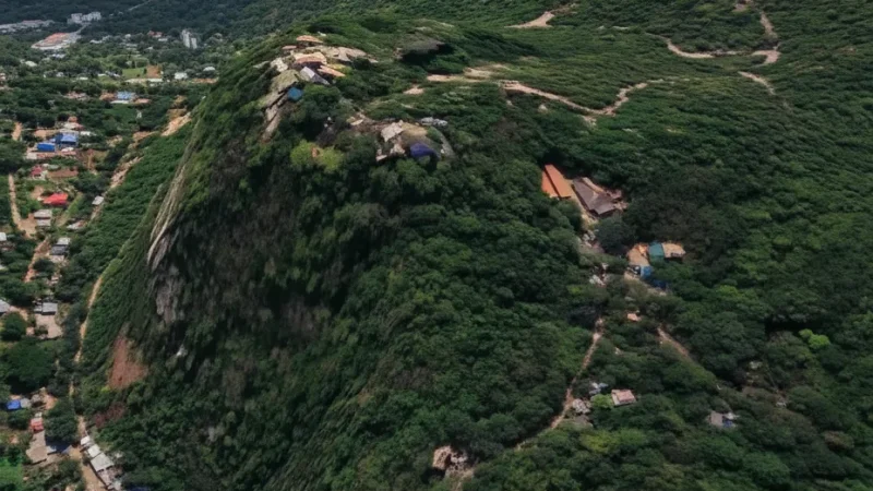 14 Forested Slopes – Natural surroundings(6)