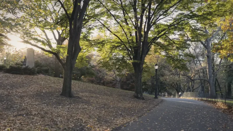 14) Fort Greene Park(3)