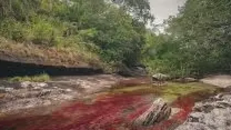 14 Guided Nature Routes – Eco tours(3)