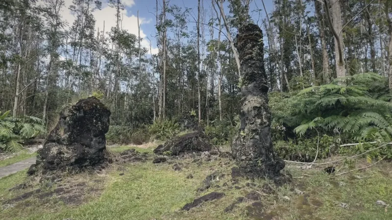 14) Lava Tree State Monument(1)
