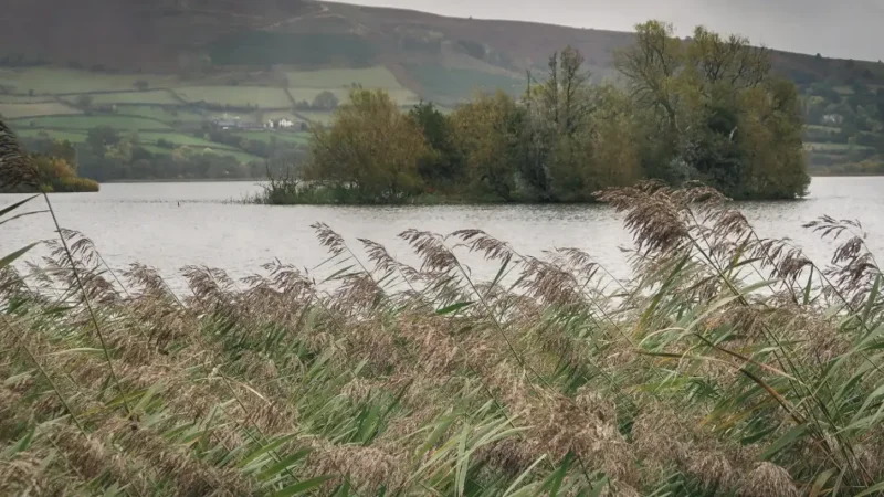 14) Llangorse Crannog(1)