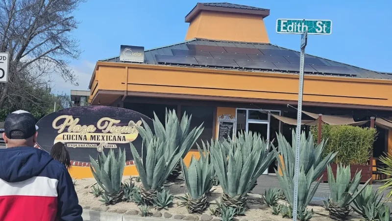 14) Local Restaurants(5)