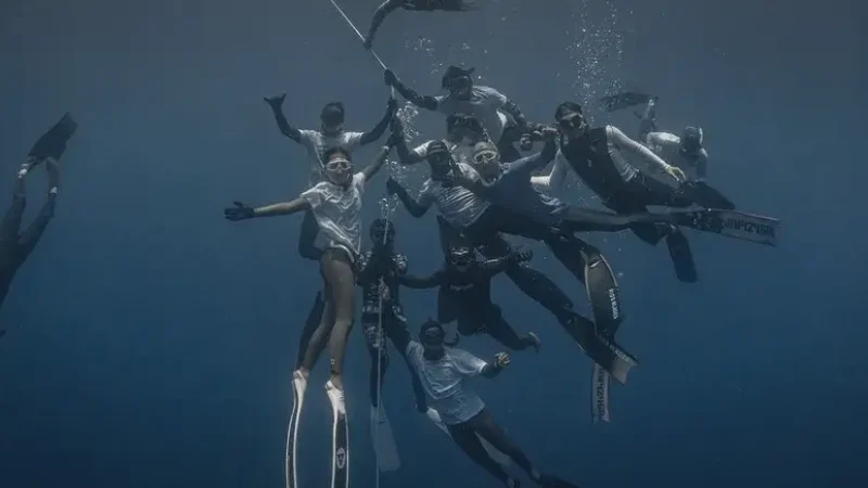 14) Mandolin Reef(4)