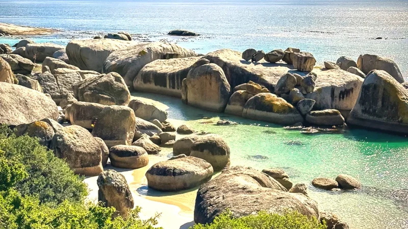 14 Marine Protected Area – Preserved coastal ecosystem(2)
