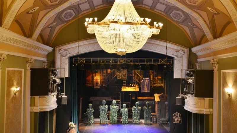 14) Maxim Gorki Theatre(5)