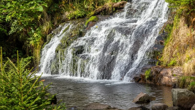 14) Menzenschwand Waterfall(6)