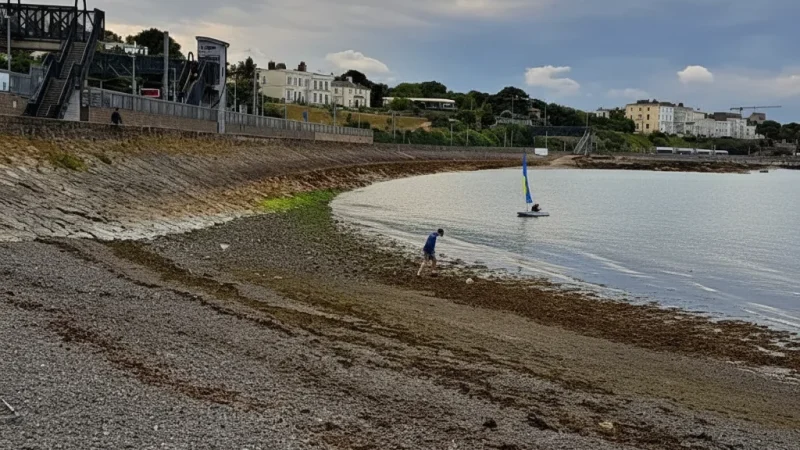 14) Monkstown(6)