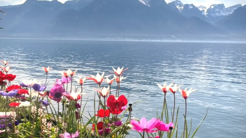14 Nearby Beaches(4)