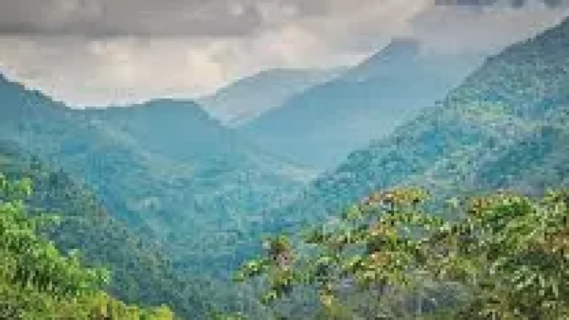14 Photography Points – Jungle landscapes(2)
