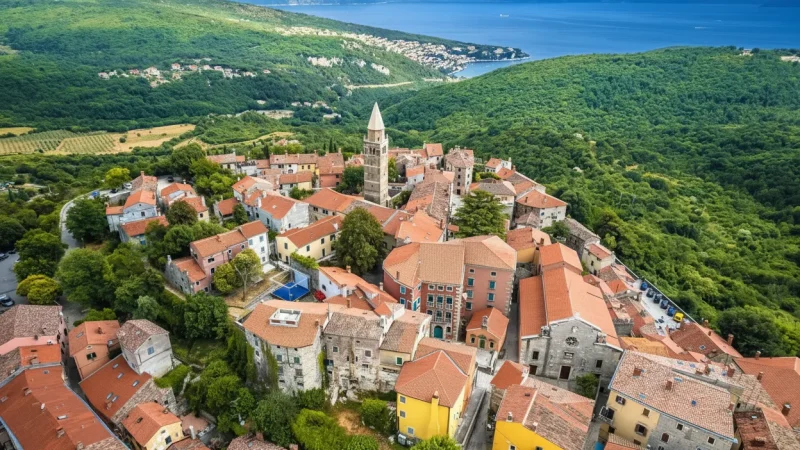 14) Photography Viewpoints(1)