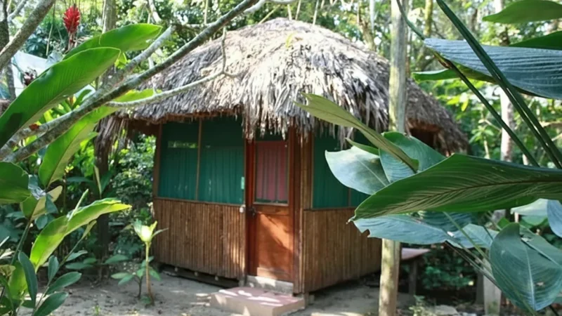 14) Quiet Observation Areas(4)