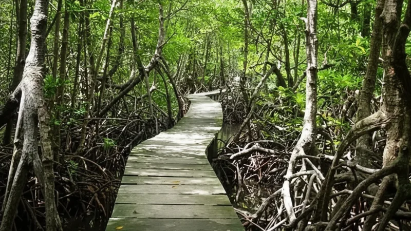 14 Quiet Picnic Spots – Nature relaxation(5)