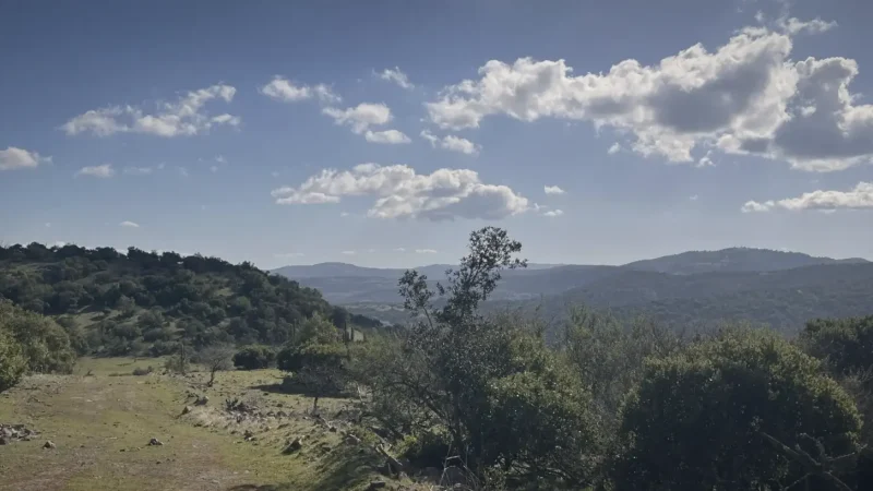 14) Quiet Rural Corners(3)
