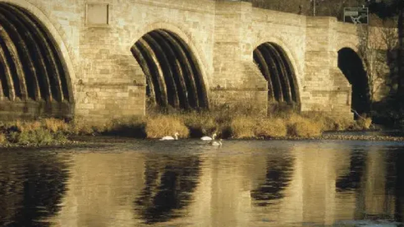 14) River Dee Walks(2)
