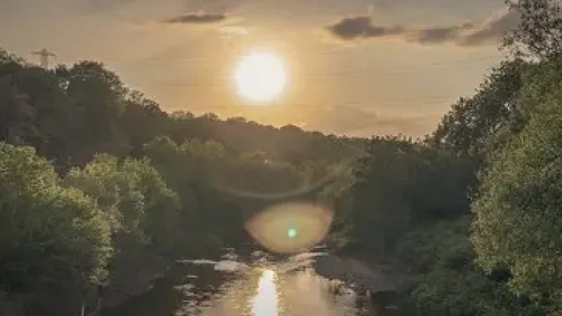 14) River Taff Walks(1)